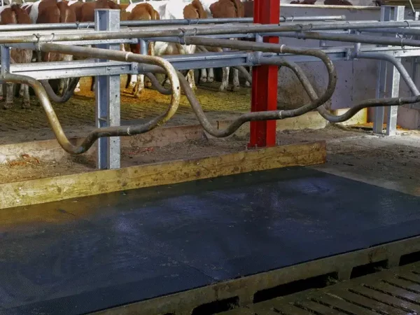 Cubicle mattress for cows QUIETA+