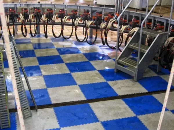 Milking parlor mat:IDEX – Interlocking slab