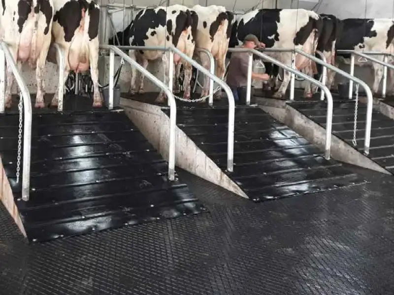 Non Slip Flooring for Livestock Handling